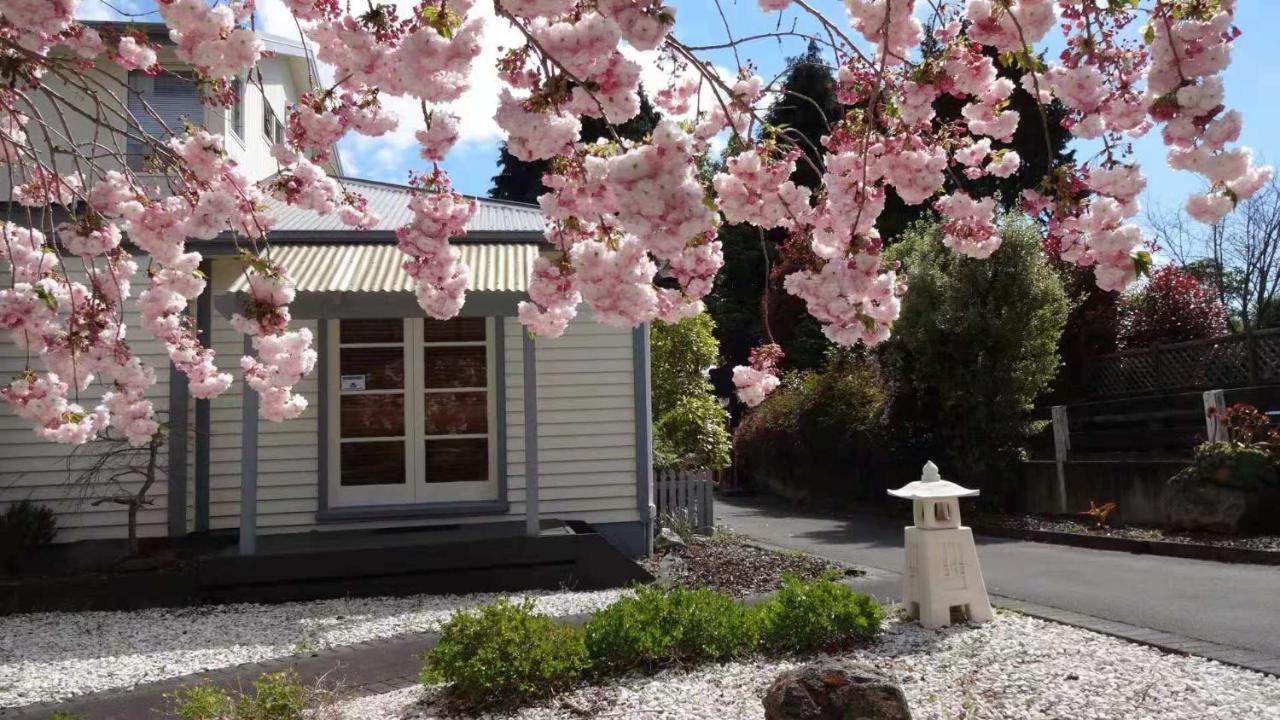 Macadamia Retreat - City Central Hygge Rotorua Kültér fotó